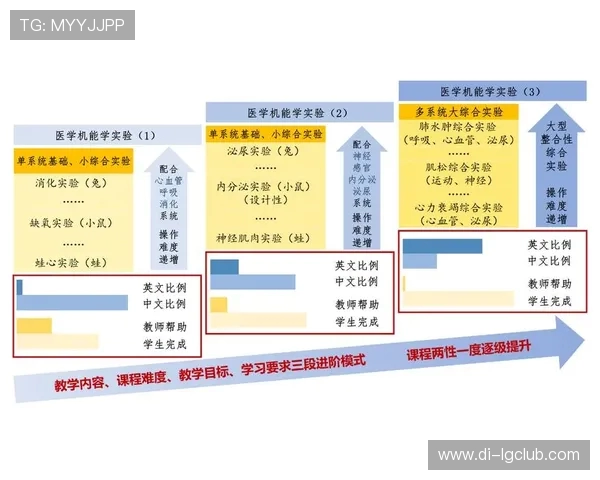 环保儿童竹制足球设计创新探索与推广策略分析 环保儿童竹制足球设计创新探索与推广策略分析