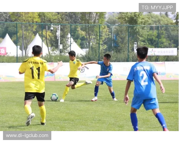 祁东与祁阳足球发展现状对比及青少年培养模式探析