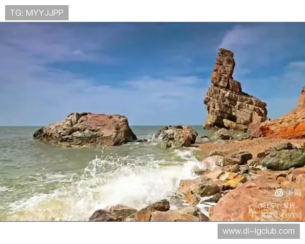 限量抢购足球佛山热销中 机会难得错过不再有